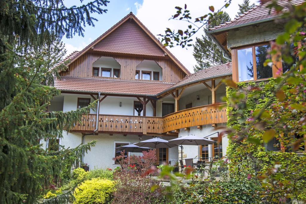 Willa Zameczek Bad Altheide Exterior foto