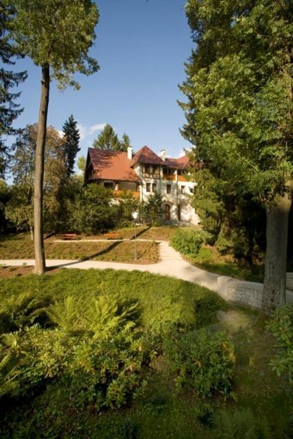 Willa Zameczek Bad Altheide Exterior foto