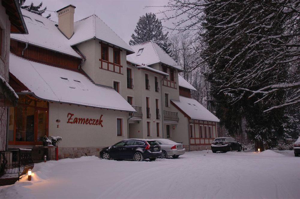 Willa Zameczek Bad Altheide Exterior foto