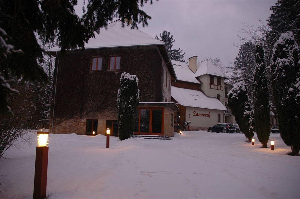 Willa Zameczek Bad Altheide Exterior foto
